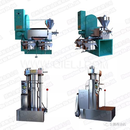 油坊榨油設備哪有賣的 怎么開油坊 需要什么手續(圖1) 油坊榨油設備哪有賣的 怎么開油坊 需要什么手續(圖1)