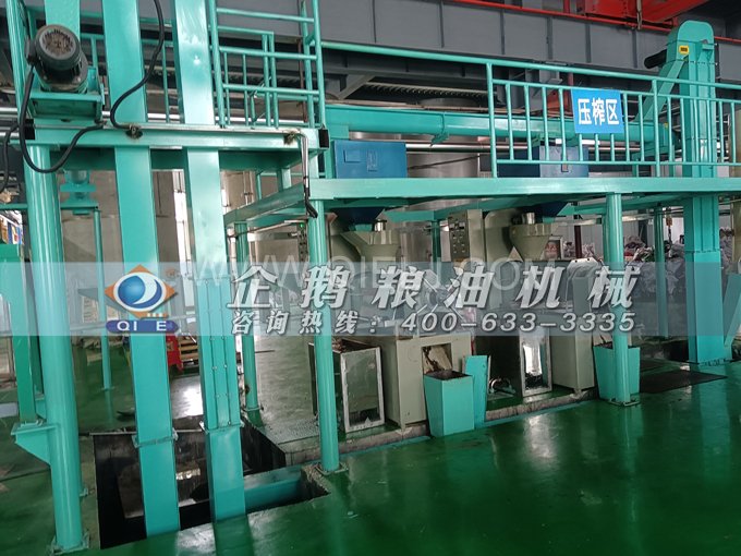 企鵝牌核桃油榨油設備，生產(chǎn)綠色健康油受大眾喜愛(圖4)